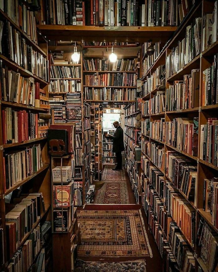 Biblioteca accogliente e grandiosa con alti scaffali in legno pieni di libri e una persona che sfoglia i libri in un'ambientazione magica.