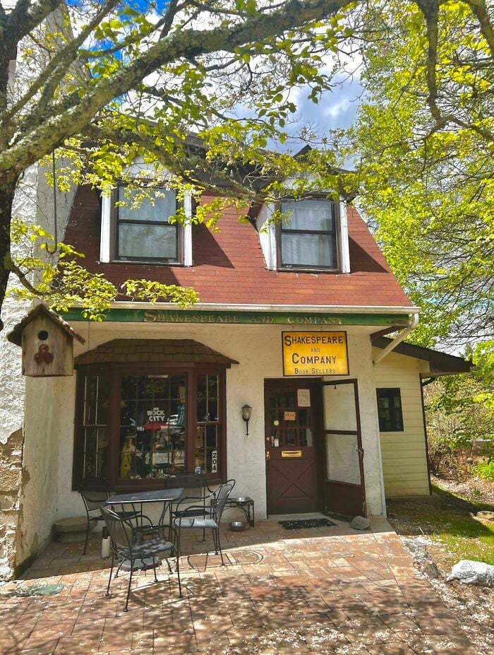 Libreria accogliente con posti a sedere all'aperto circondata da alberi, che mostra un'atmosfera da biblioteca grandiosa e magica. Libreria accogliente con posti a sedere all'aperto circondata da alberi, che mostra un'atmosfera da biblioteca grandiosa e magica.