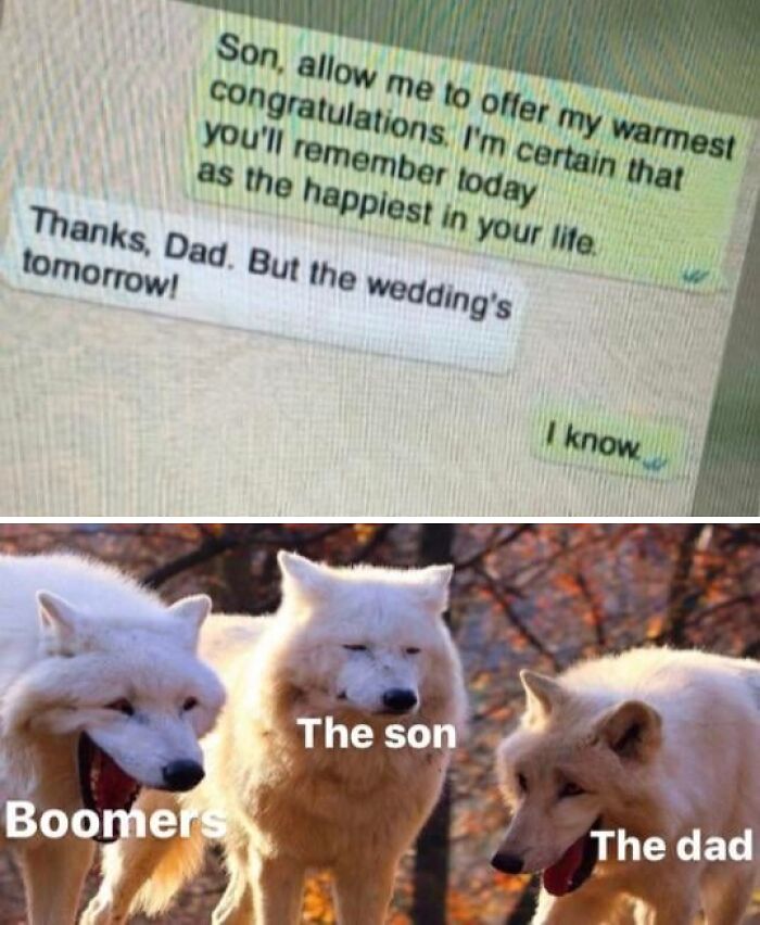 Textnachrichten-Meme über Hochzeits-Humor, gepaart mit einem beschrifteten Wolfsrudel-Meme, das Boomer, den Sohn und den Vater darstellt.